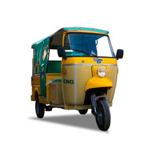 6 SEATER PASSENGER