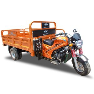 DOUBLE TYRE (PEGASUS) 200CC